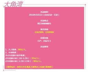 阳江闸坡新闻爆料,揭秘当地最新动态与热点事件  第1张